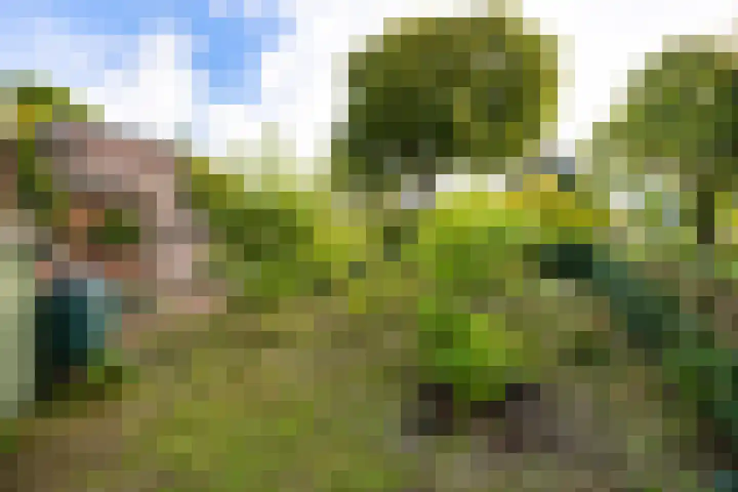 Graaf Florislaan 27 Vogelenzang thumbnail 22