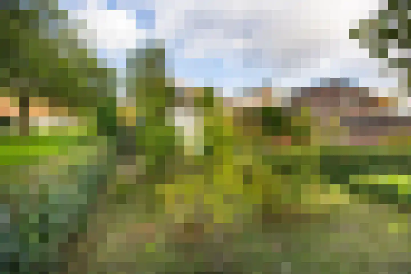 Graaf Florislaan 27 Vogelenzang thumbnail 23