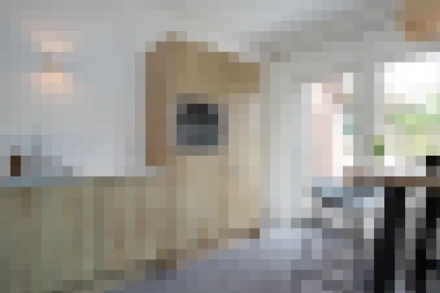 Graaf Florislaan 29 b Vogelenzang thumbnail 30
