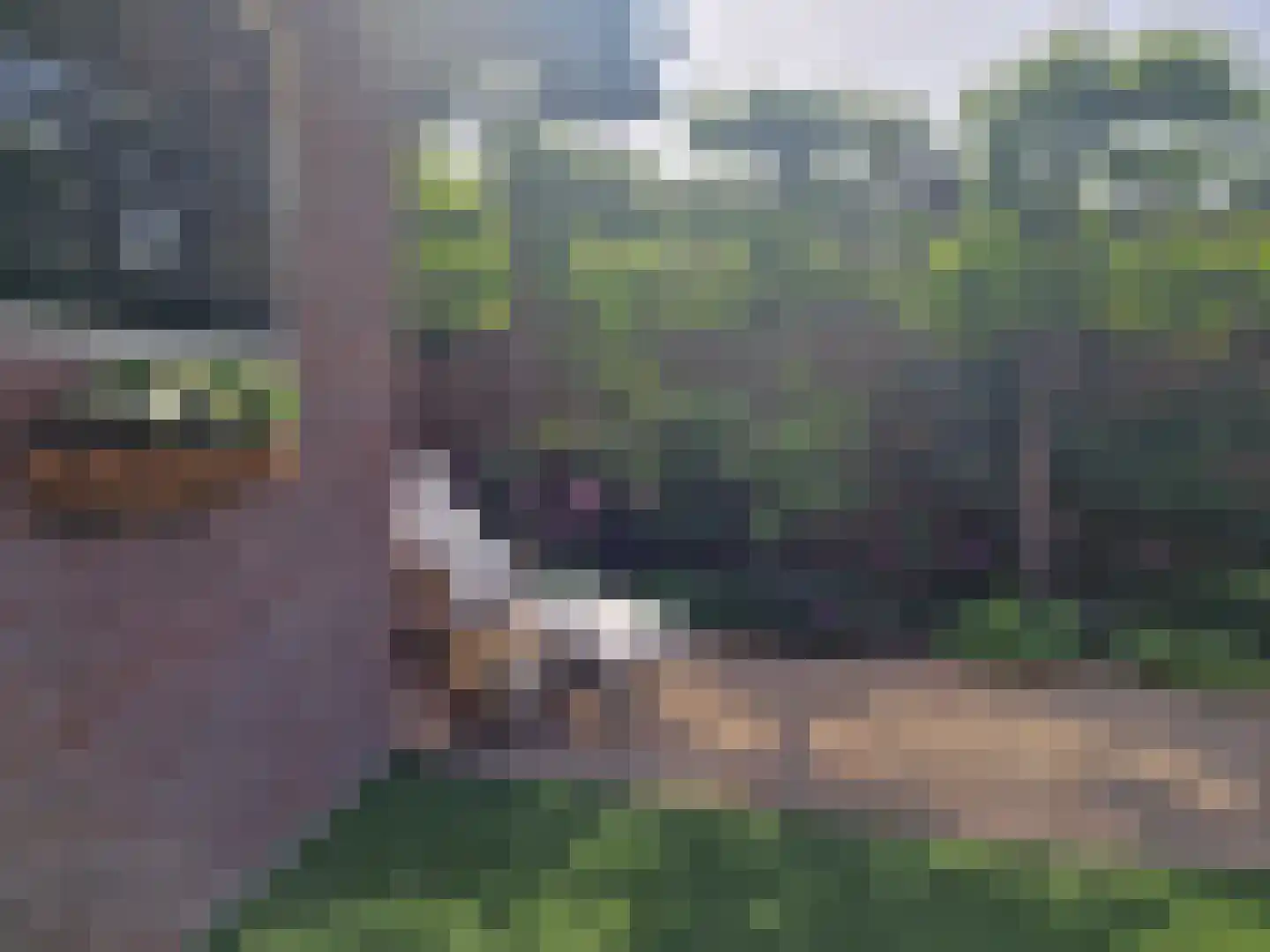 Graaf Florislaan 29 b Vogelenzang thumbnail 61