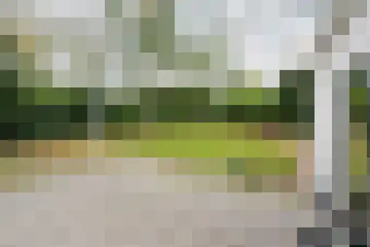 Graaf Florislaan 30 Hilversum thumbnail 10