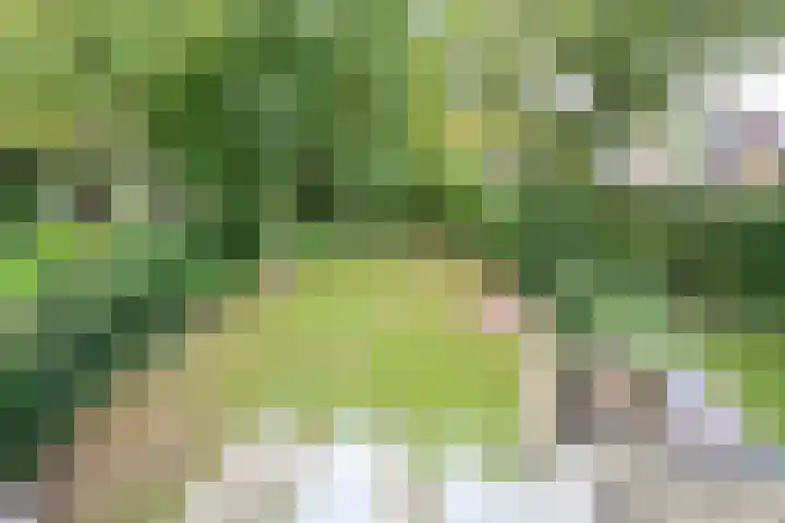 Graaf Florislaan 30 Hilversum thumbnail 26