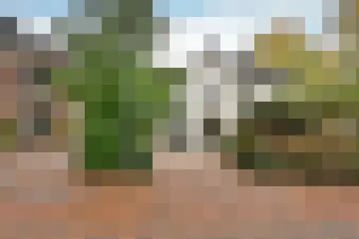 Graaf Florislaan 30 Hilversum thumbnail 4