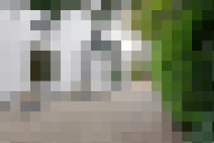 Graaf Florislaan 30 Hilversum thumbnail 6