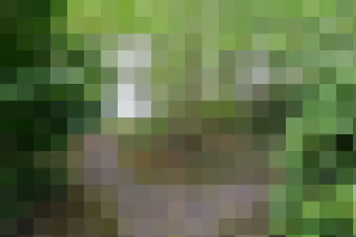 Graaf Florislaan 30 Hilversum thumbnail 7