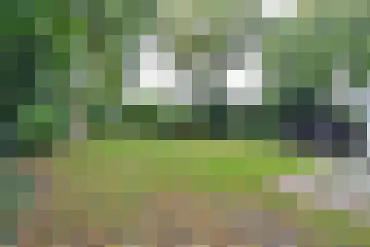 Graaf Florislaan 30 Hilversum thumbnail 9