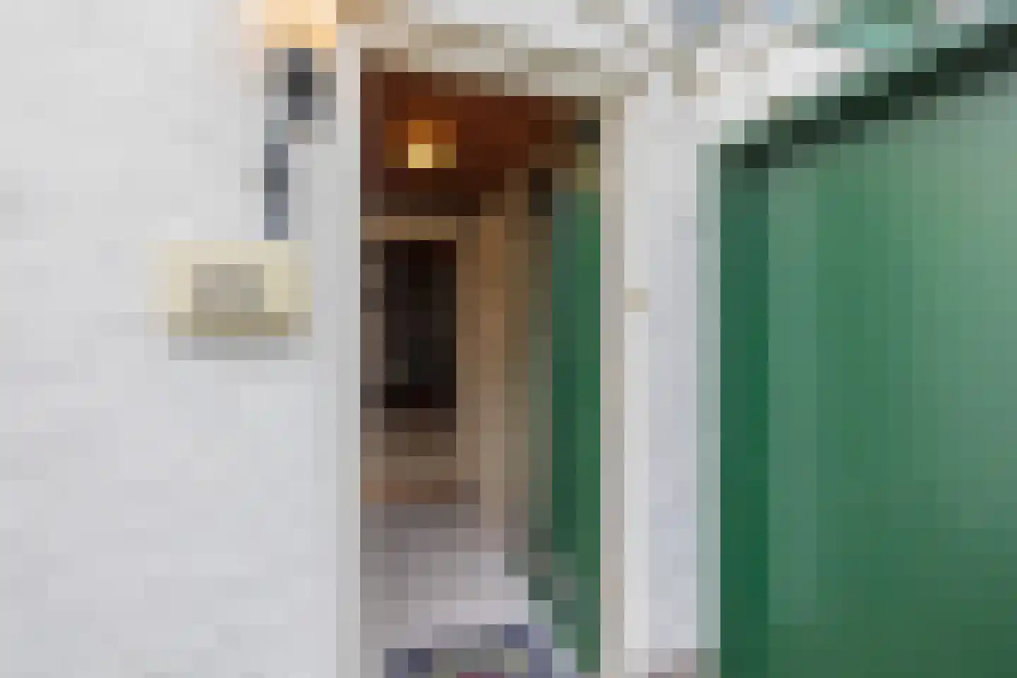 Graaf Florislaan 35 Vogelenzang thumbnail 8