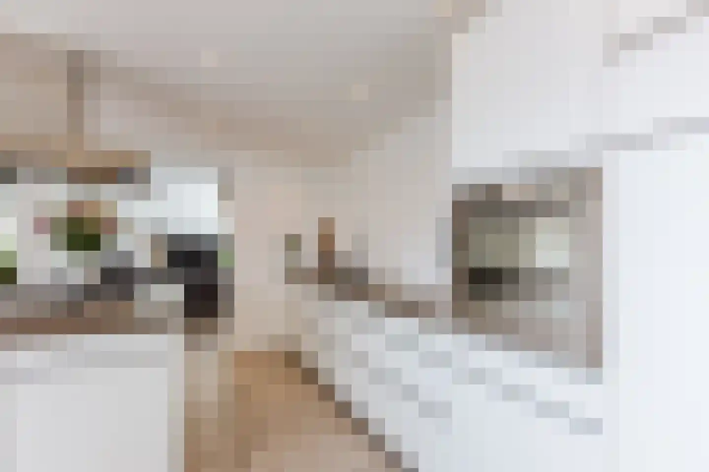 Graaf Florislaan 39 Beverwijk thumbnail 19