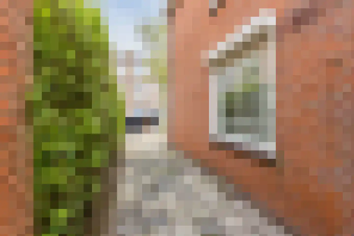 Graaf Florislaan 39 Beverwijk thumbnail 82