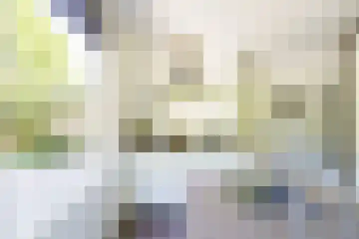 Graaf Florislaan 4 Hilversum thumbnail 16