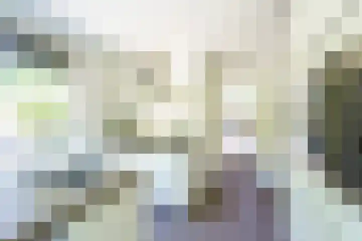 Graaf Florislaan 4 Hilversum thumbnail 17