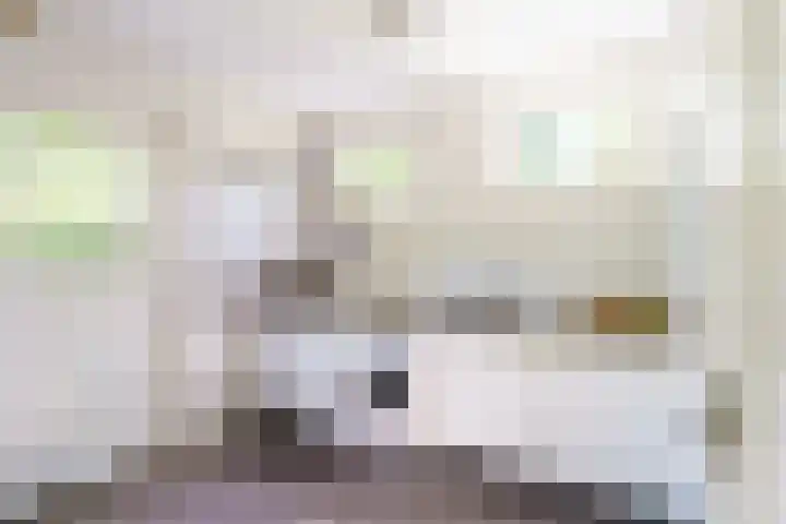 Graaf Florislaan 4 Hilversum thumbnail 19