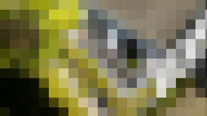 Graaf Florislaan 4 Hilversum thumbnail 26