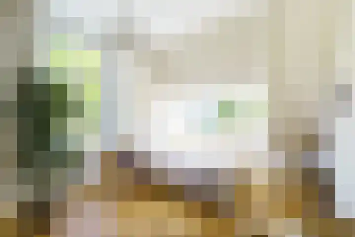 Graaf Florislaan 4 Hilversum thumbnail 29