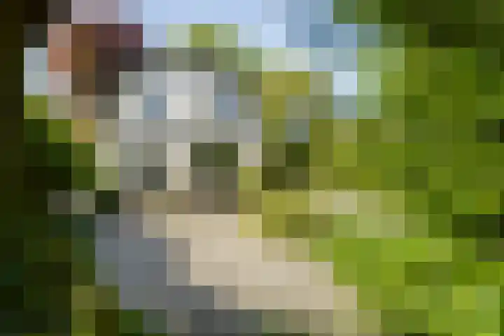 Graaf Florislaan 4 Hilversum thumbnail 39