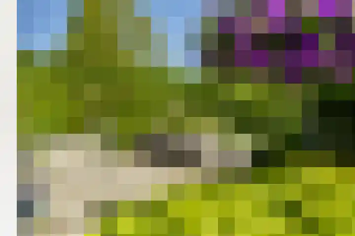 Graaf Florislaan 4 Hilversum thumbnail 40