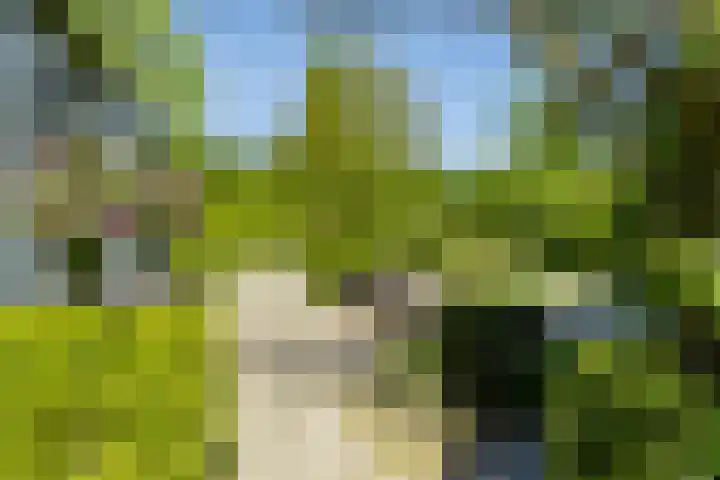 Graaf Florislaan 4 Hilversum thumbnail 41
