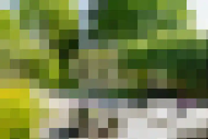 Graaf Florislaan 4 Hilversum thumbnail 42