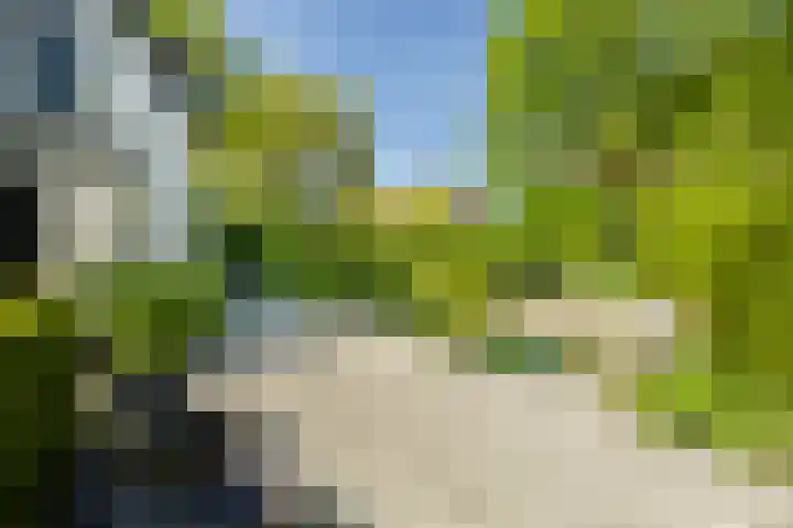 Graaf Florislaan 4 Hilversum thumbnail 43