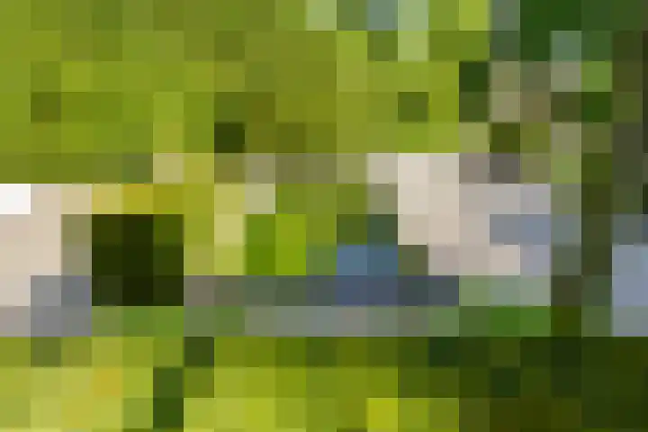 Graaf Florislaan 4 Hilversum thumbnail 44