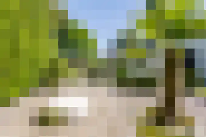 Graaf Florislaan 4 Hilversum thumbnail 45