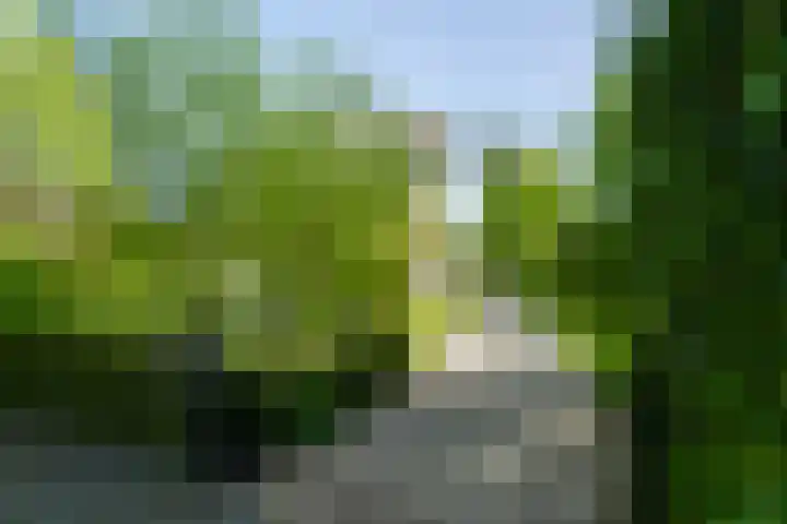 Graaf Florislaan 4 Hilversum thumbnail 48