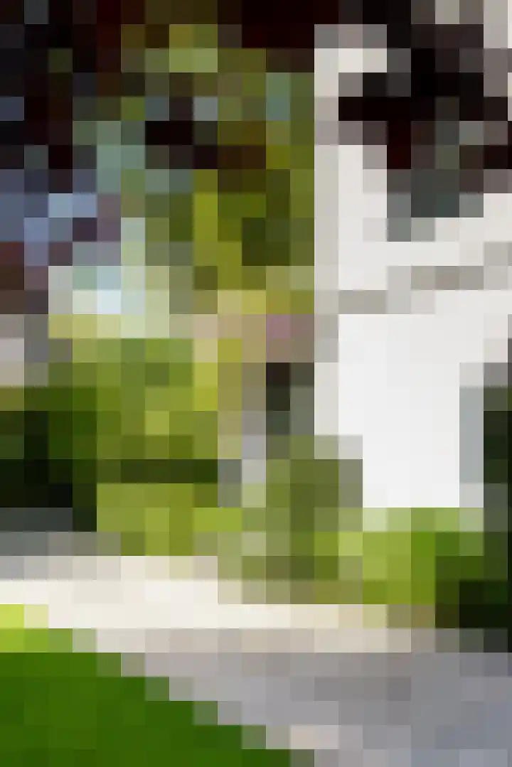 Graaf Florislaan 4 Hilversum thumbnail 49