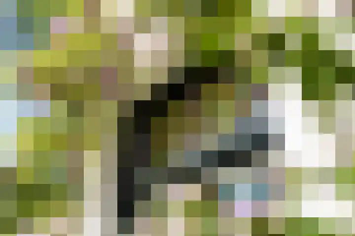 Graaf Florislaan 4 Hilversum thumbnail 50