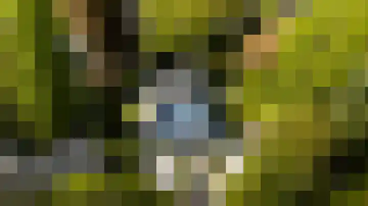 Graaf Florislaan 4 Hilversum thumbnail 51