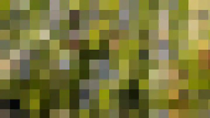 Graaf Florislaan 4 Hilversum thumbnail 52