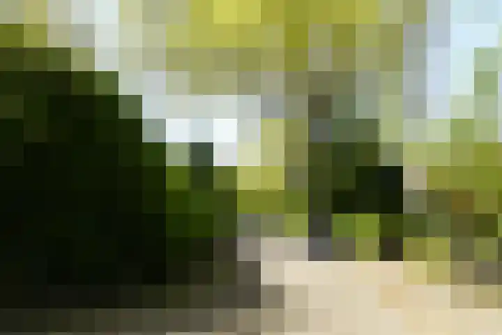 Graaf Florislaan 4 Hilversum thumbnail 53