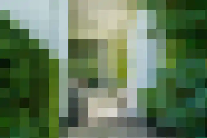 Graaf Florislaan 4 Hilversum thumbnail 9