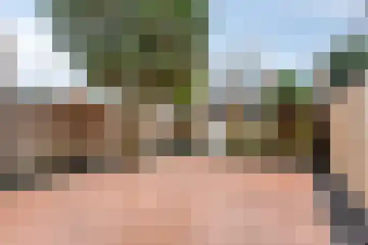 Graaf Florislaan 42 Amstelveen thumbnail 37