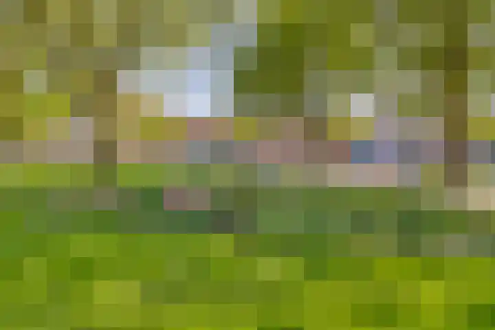 Graaf Florislaan 49 Creil thumbnail 37