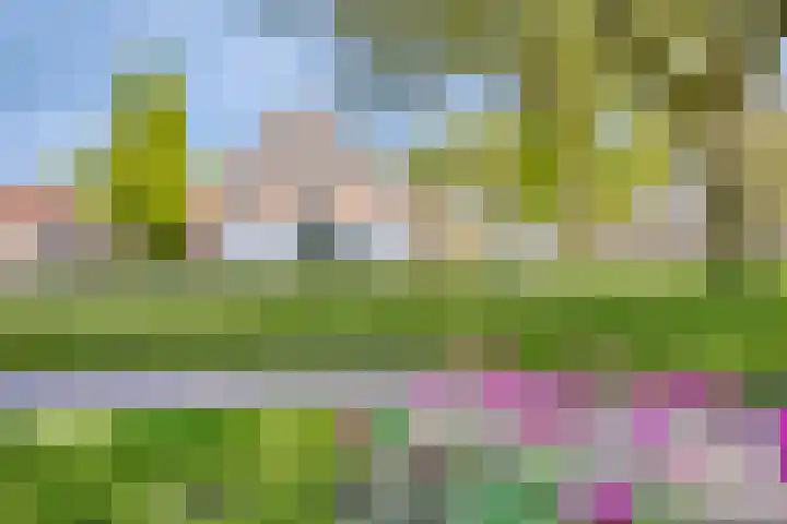 Graaf Florislaan 49 Creil thumbnail 38