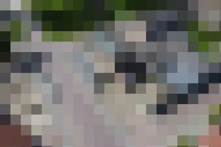 Graaf Florislaan 49 Creil thumbnail 39