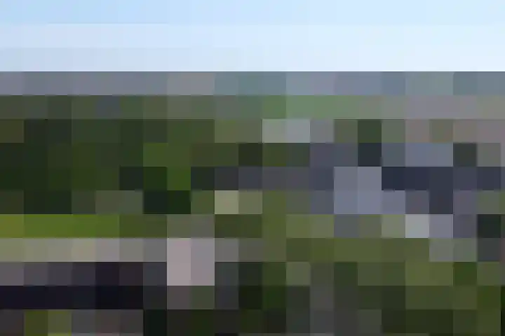 Graaf Florislaan 49 Creil thumbnail 42
