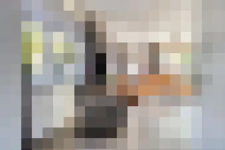 Graaf Florislaan 49 Creil thumbnail 8