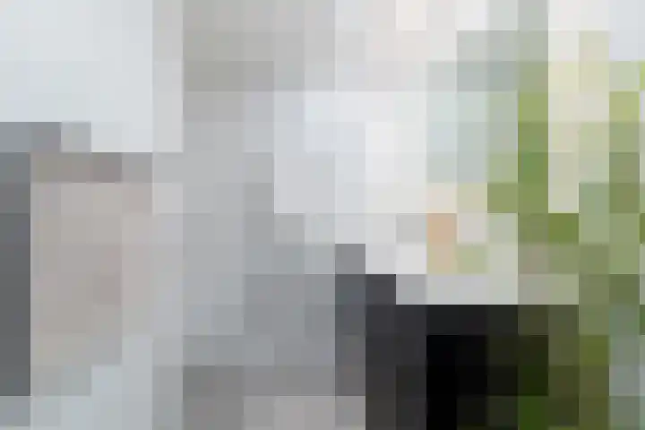 Graaf Florislaan 5 Beverwijk thumbnail 57