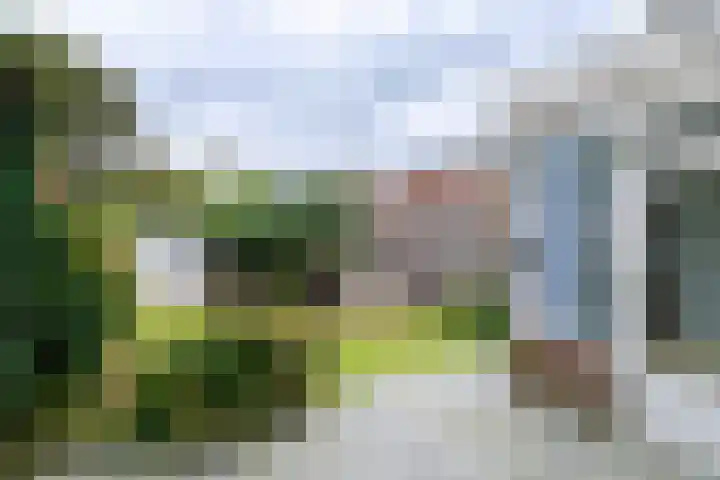 Graaf Florislaan 64 Amstelveen thumbnail 22