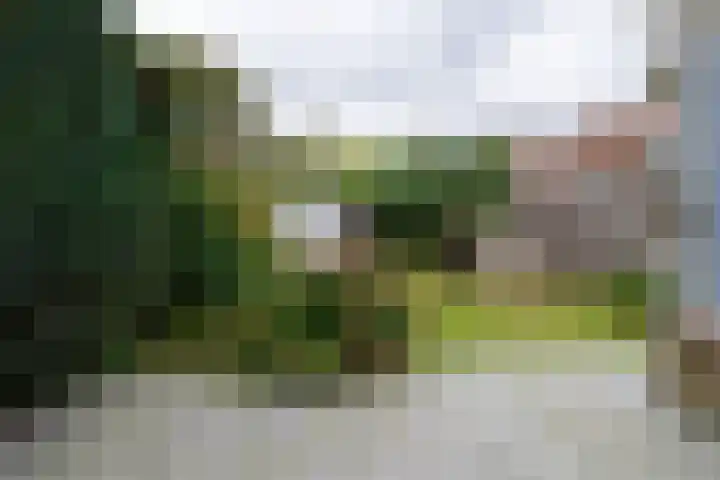 Graaf Florislaan 64 Amstelveen thumbnail 23