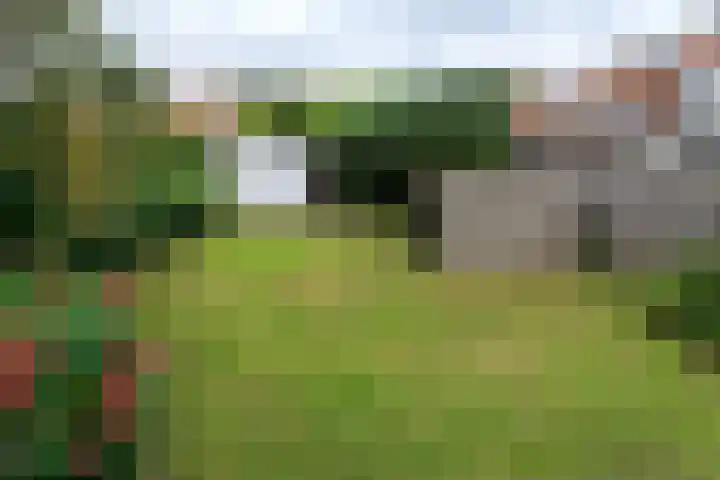 Graaf Florislaan 64 Amstelveen thumbnail 24