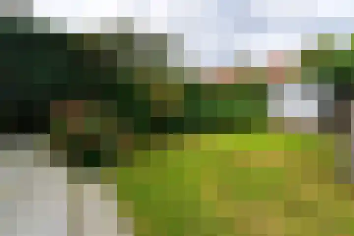 Graaf Florislaan 64 Amstelveen thumbnail 25