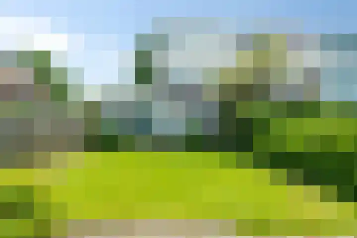 Graaf Florislaan 64 Amstelveen thumbnail 4