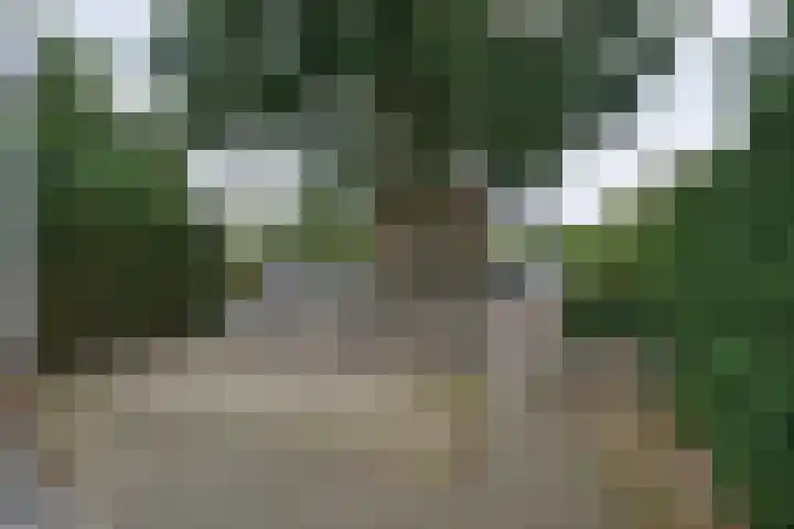 Graaf Florislaan 64 Amstelveen thumbnail 5