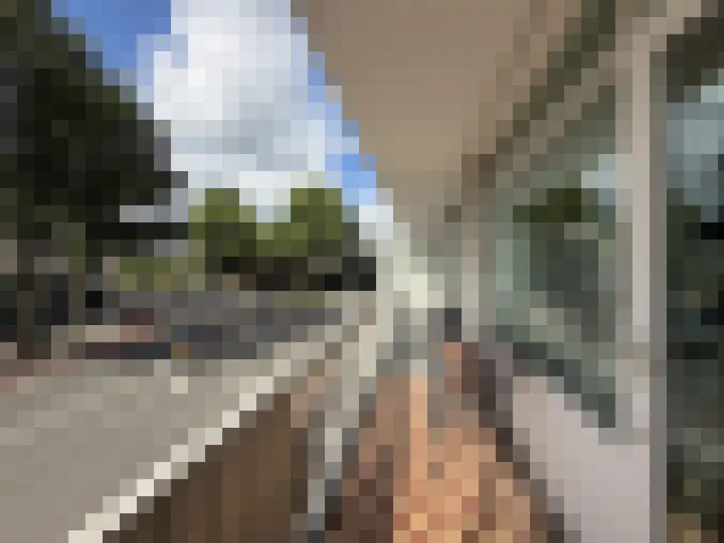 Graaf Florislaan 8 Amstelveen thumbnail 4