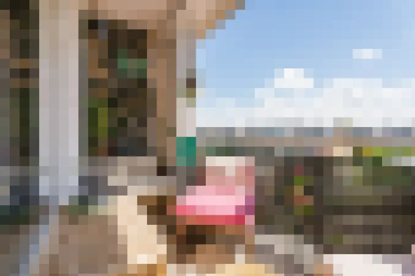 Graaf Florisplein 4 's-Gravenzande thumbnail 14