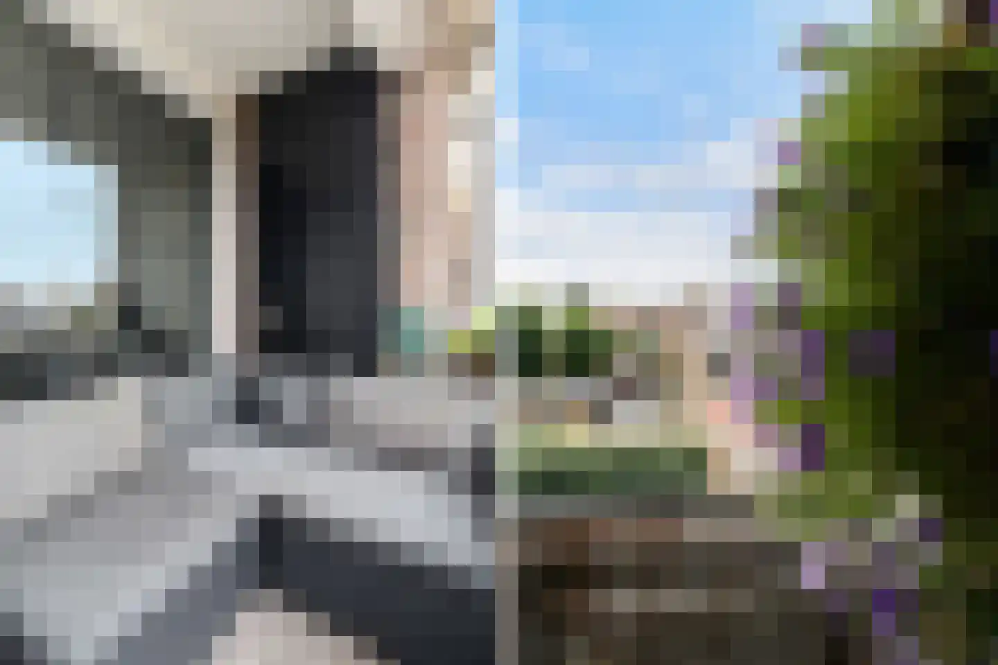 Graaf Florisplein 52 's-Gravenzande thumbnail 12