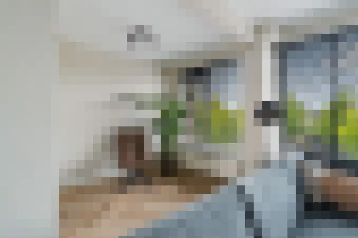 Graaf Florisplein 52 's-Gravenzande thumbnail 8