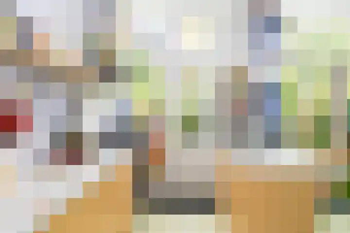 Graaf Florisstraat 110 B Rotterdam thumbnail 13